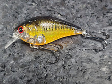 Load image into Gallery viewer, LC 1.5 Crankbaits