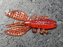 Load image into Gallery viewer, Spiny Craw
