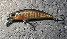 Load image into Gallery viewer, Spearhead Ryuki 50S