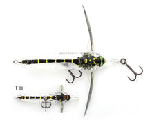 Load image into Gallery viewer, Aventa Crawler Vazelle