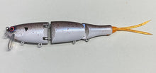 Load image into Gallery viewer, Adapt Swimmer 160F