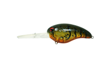 Load image into Gallery viewer, Beast Hunter