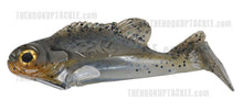 Load image into Gallery viewer, Bluegill