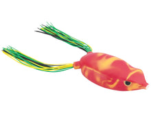 Load image into Gallery viewer, Bronzeye Frog