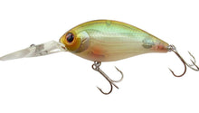 Load image into Gallery viewer, CR-8 Crankbaits
