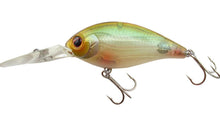 Load image into Gallery viewer, CR-6 Crankbaits