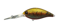 Load image into Gallery viewer, CR-13 Crankbaits