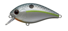 Load image into Gallery viewer, CR-2 Crankbaits
