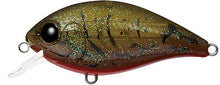 Load image into Gallery viewer, CR-4 Crankbaits
