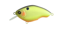 Load image into Gallery viewer, Chippawa RB Slow Float