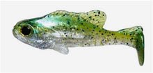 Load image into Gallery viewer, Bluegill