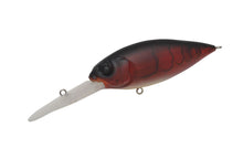 Load image into Gallery viewer, Deep-X 300