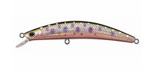 Load image into Gallery viewer, Dr Minnow
