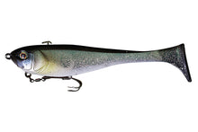 Load image into Gallery viewer, Baby Dunkle