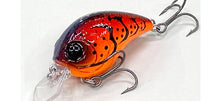 Load image into Gallery viewer, Derringer SR