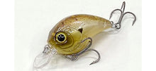 Load image into Gallery viewer, Derringer SR