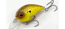 Load image into Gallery viewer, Derringer SR