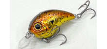 Load image into Gallery viewer, Derringer SR