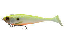 Load image into Gallery viewer, Baby Dunkle