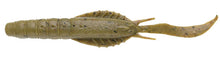 Load image into Gallery viewer, Jukusei Aqua Swimmer Shrimp
