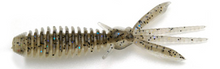 Load image into Gallery viewer, Egu Bug