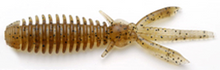 Load image into Gallery viewer, Egu Bug