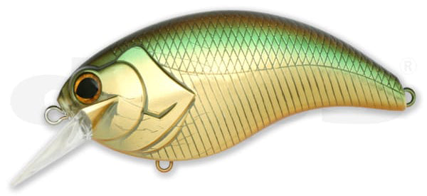 Evoke 4.0 – The Hook Up Tackle