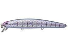 Load image into Gallery viewer, Flash Minnow 110SP