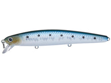 Load image into Gallery viewer, Flash Minnow 110SP
