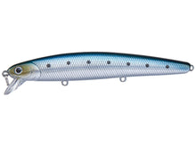 Load image into Gallery viewer, Flash Minnow 110SP