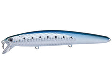Load image into Gallery viewer, Flash Minnow 110SP