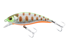 Load image into Gallery viewer, Timon Tricoroll Mai