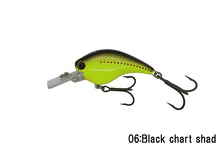 Load image into Gallery viewer, RC Flat Shad