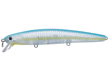 Load image into Gallery viewer, Flash Minnow 110SP