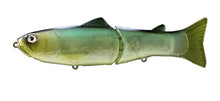 Load image into Gallery viewer, Slide Swimmer 175
