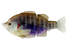 Load image into Gallery viewer, Tiny Bull Shooter