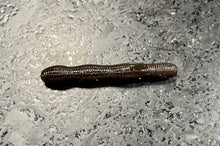 Load image into Gallery viewer, Wriggle ND Slim