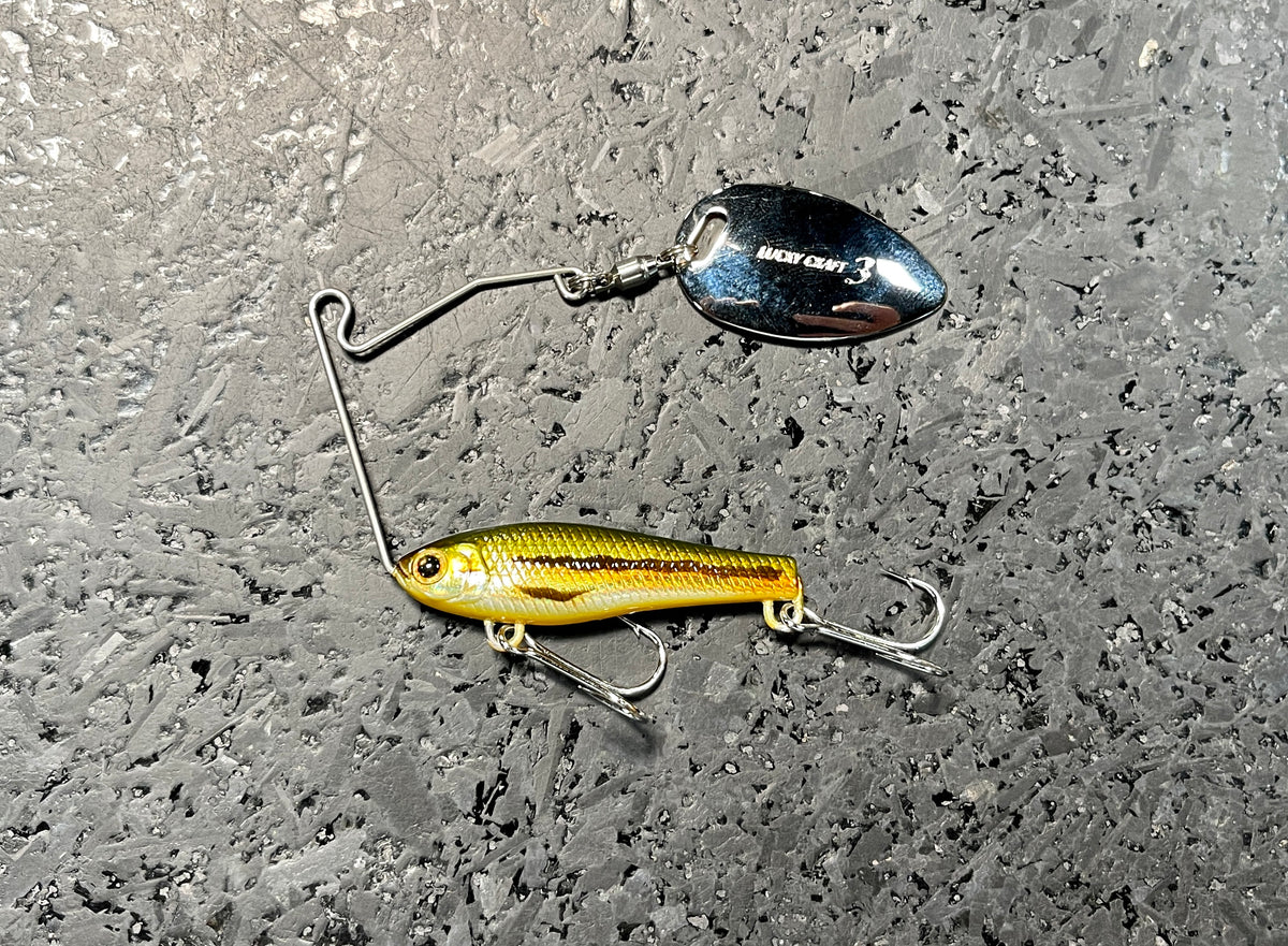 Area's Bait Bass – The Hook Up Tackle