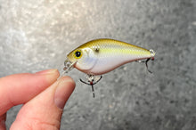 Load image into Gallery viewer, LC 0.3 Crankbait