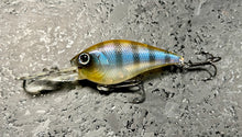 Load image into Gallery viewer, SKT Crankbaits