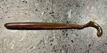 Load image into Gallery viewer, Curly Tail Worm