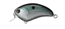 Load image into Gallery viewer, Bill Lowen Square Bill Crankbait