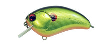 Load image into Gallery viewer, Bill Lowen Square Bill Crankbait