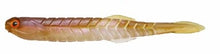 Load image into Gallery viewer, Katakuchi Worm Yavakune