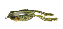 Load image into Gallery viewer, Kaera Frog