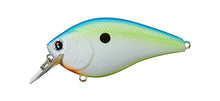 Load image into Gallery viewer, LC 2.5 Crankbaits