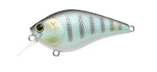 Load image into Gallery viewer, LC 1.5 Crankbaits