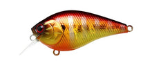 Load image into Gallery viewer, LC 1.5 Crankbaits