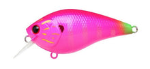 Load image into Gallery viewer, LC 1.5 Crankbaits