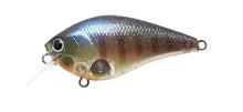 Load image into Gallery viewer, LC 2.5 Crankbaits